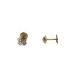 Pendientes Flor Circonita Oro Bicolor 18K