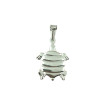 Tortuga COL009 colgante plata 925