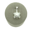 Tortuga COL009 colgante plata 925