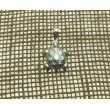 Tortuga COL009 colgante plata 925