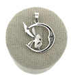 Colgante Hada Luna Plata 925
