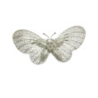 Broche filigrana Mariposa Plata 925