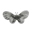 Broche filigrana Mariposa Plata 925